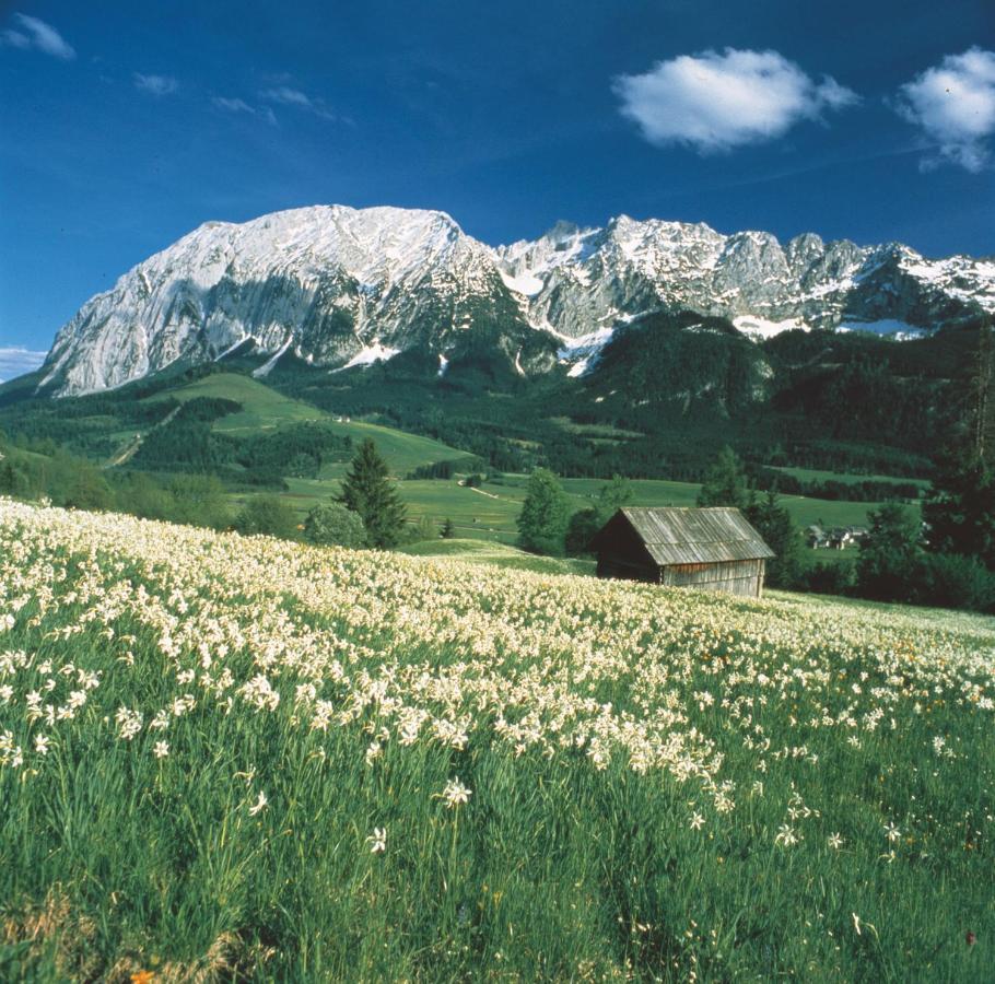 Schusterbauernhof Lägenhet Bad Mitterndorf Exteriör bild