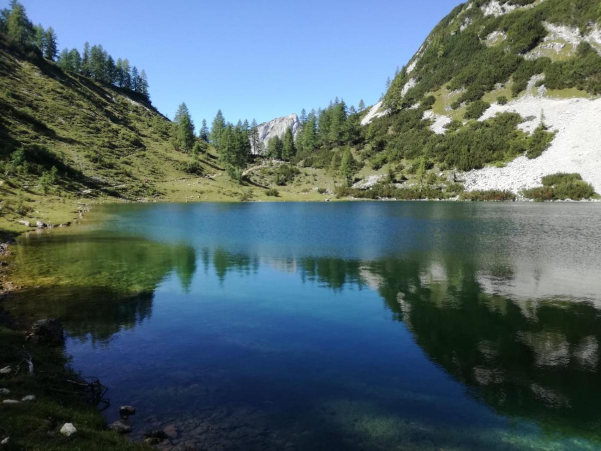 Schusterbauernhof Lägenhet Bad Mitterndorf Exteriör bild