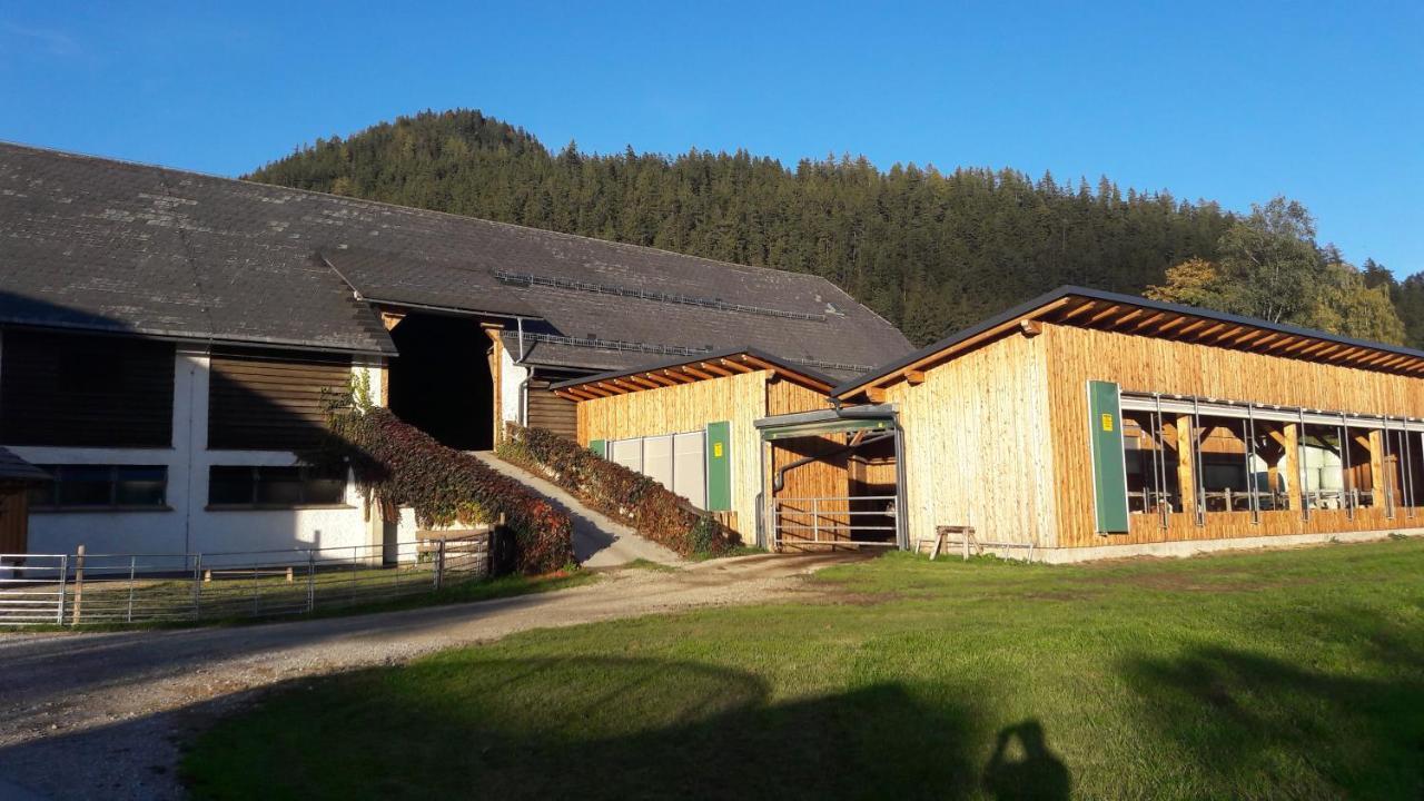 Schusterbauernhof Lägenhet Bad Mitterndorf Exteriör bild
